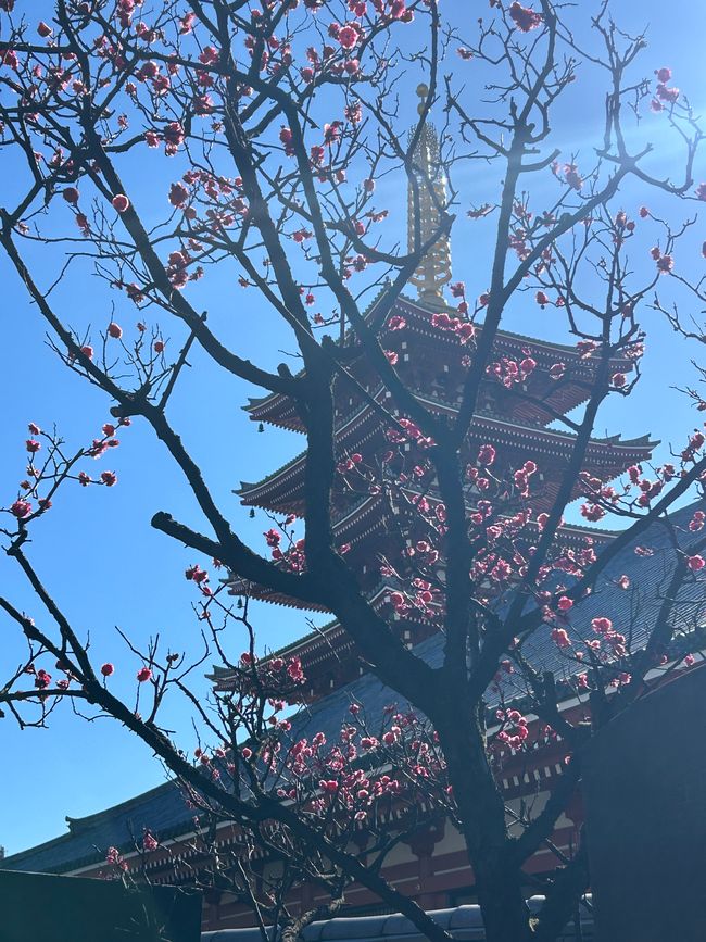 Tag 1 - Tokyo