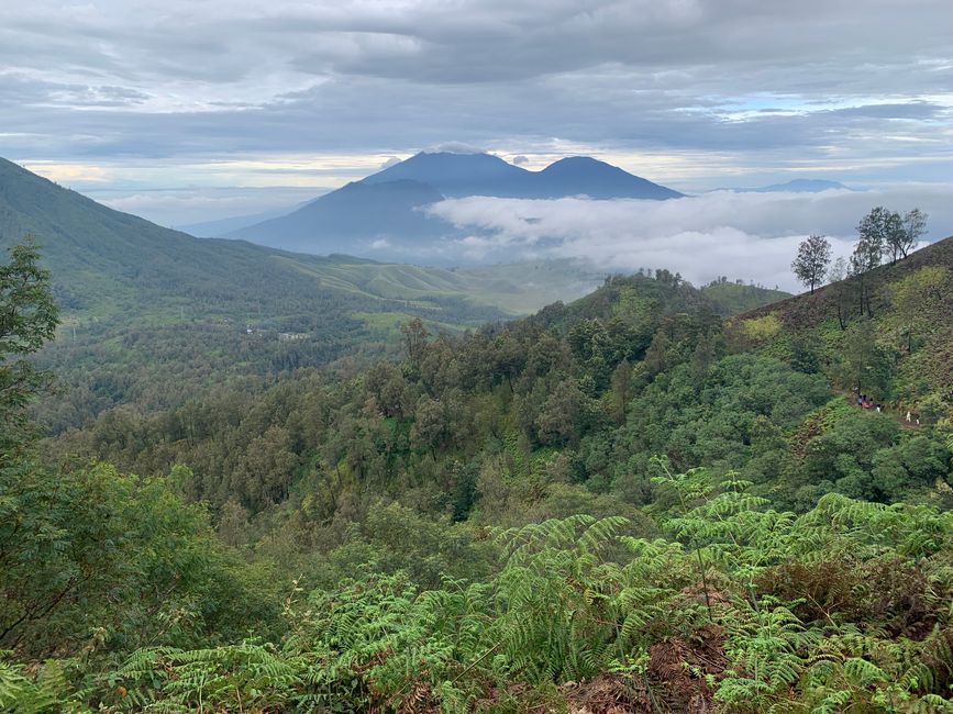 Ijen Cratere e Parco Nazionale Bromo Tengger Semeru