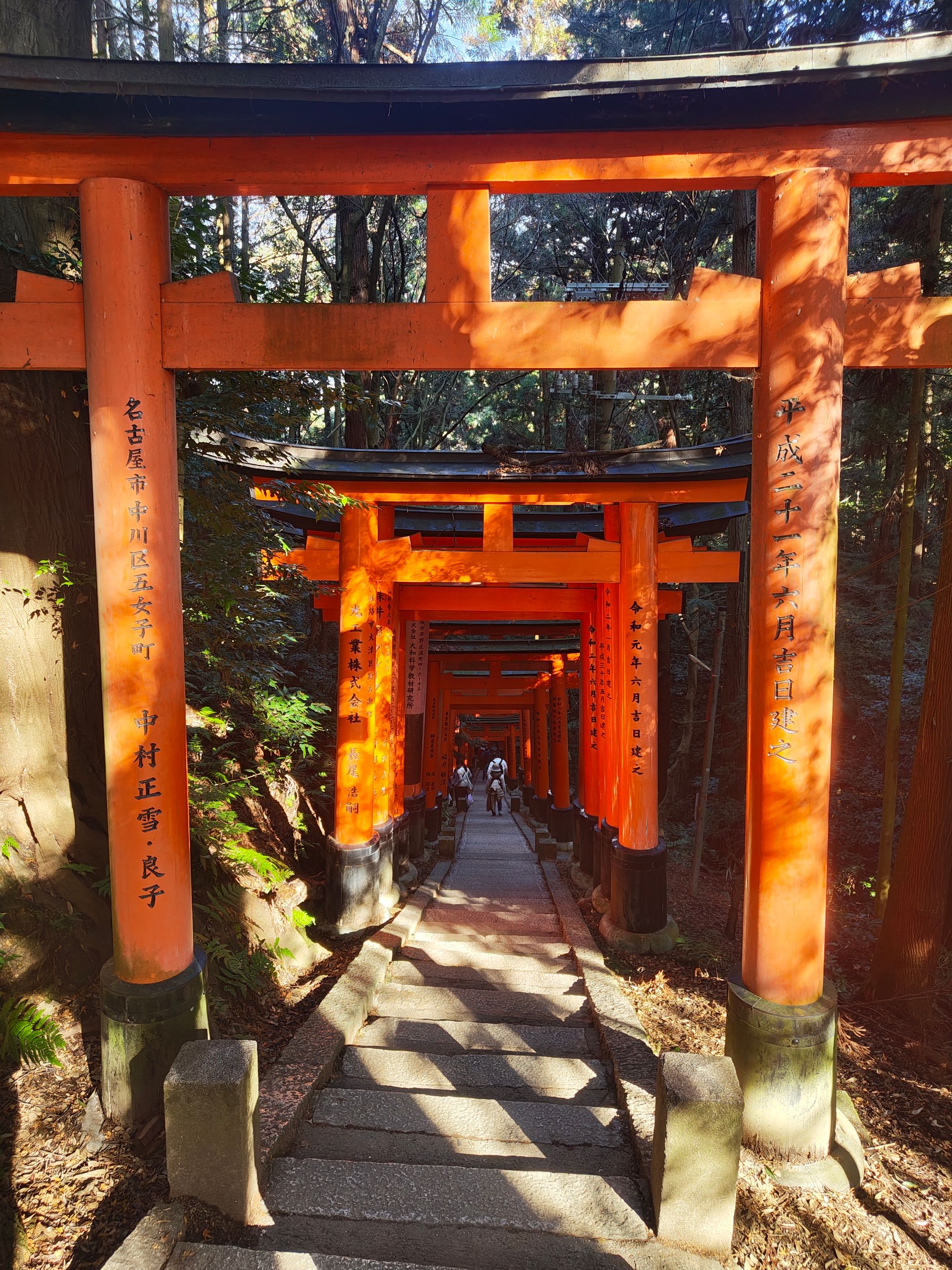 Here you can see the names of those who donated these Torii.