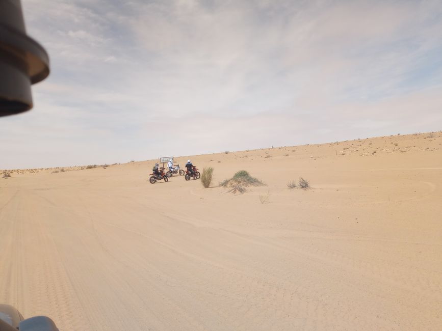 Sahara Impressionen