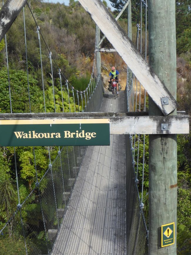 2025-03-29 Tongariro, Timber Trail und ...