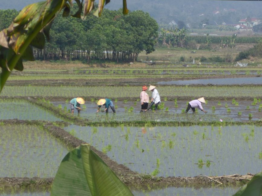 2024-12-28 Vietnam, Hanoi