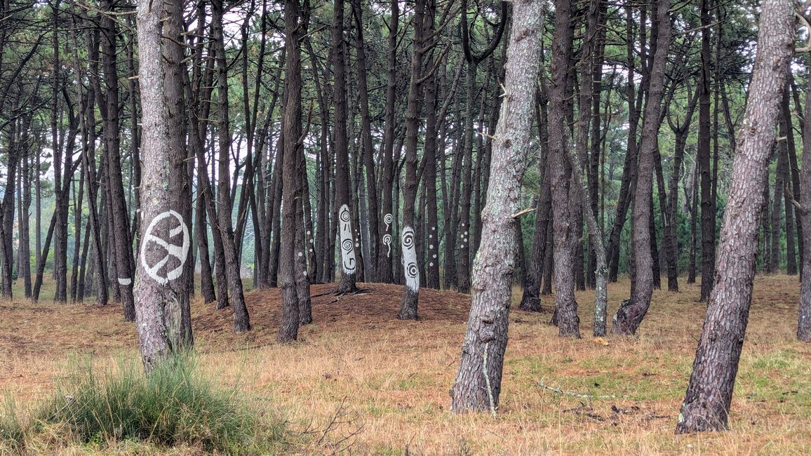 5. Stage Camino Portuguese da Costa from Ancora to A Guarda