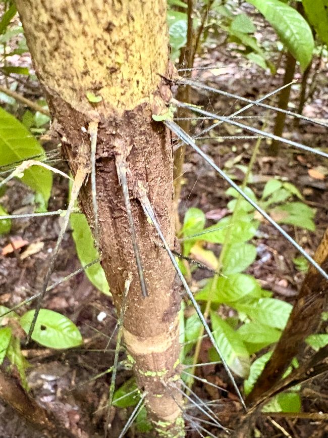 Unterwegs in Costa Rica