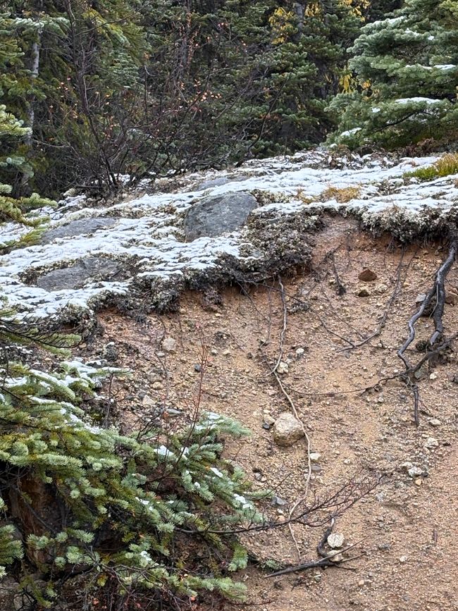 Day 5 - 🚐 Pothole Slalom, Moose Menus, and Off-Road Adventures – our day on the Canol Road