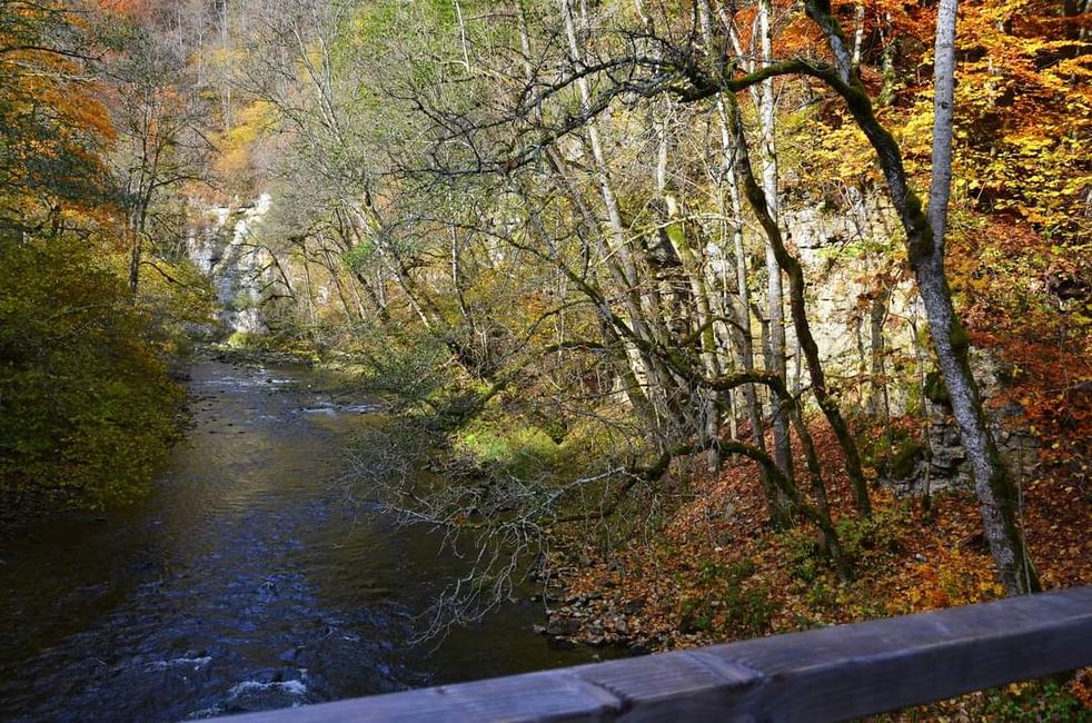 Autumn hiking in the Wutach Gorge: Red, yellow, orange... and you're right in the middle!