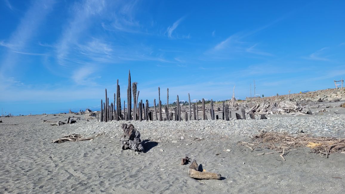 29.Januar-27.Februar 2025 Neuseeland
14.Februar