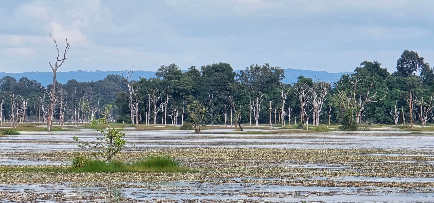 Alles kommt anders... - oder: Die Tempelanlagen von Angkor