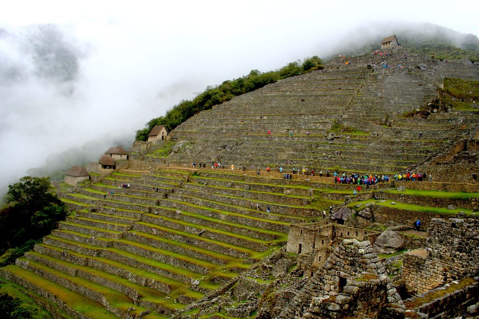 Terassenfelder zum Anbau für Kartoffeln, Machu Picchu