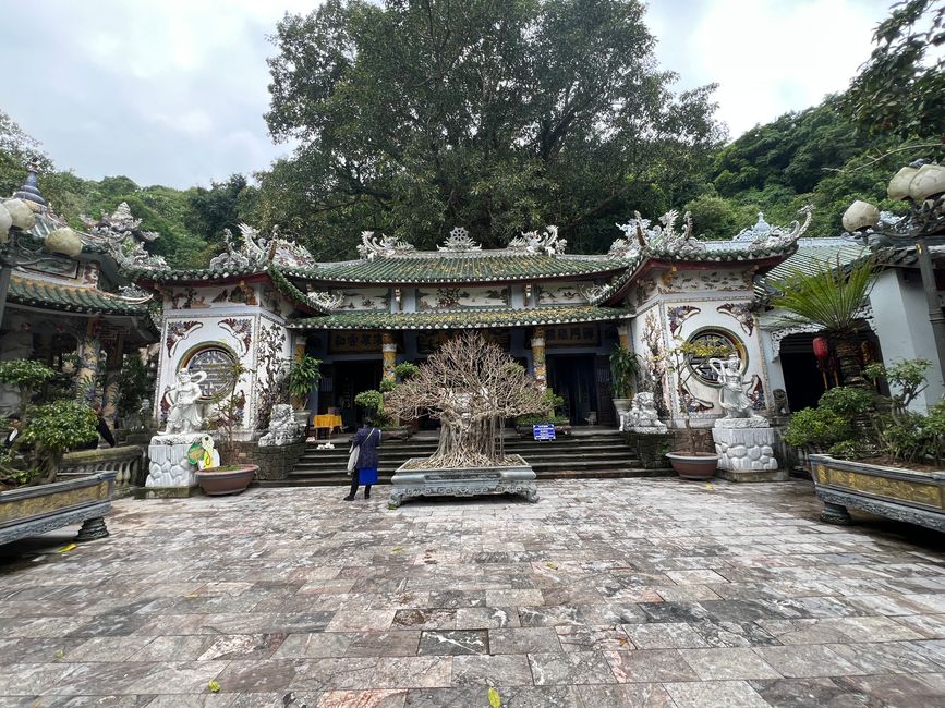 Tag 5 - Hoi An: Ein Tag mit Affen, Einhörnern und vielen Überraschungen