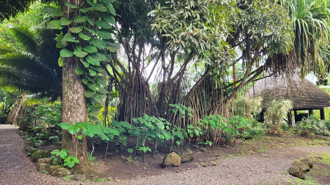 Tour around the edge of Tahiti-Nui