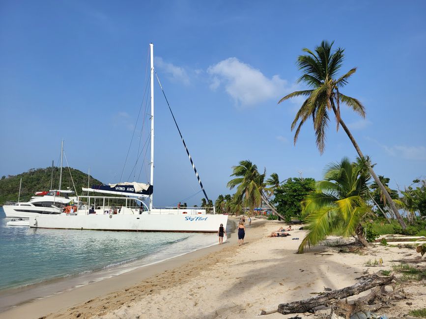 Excursion en catamaran