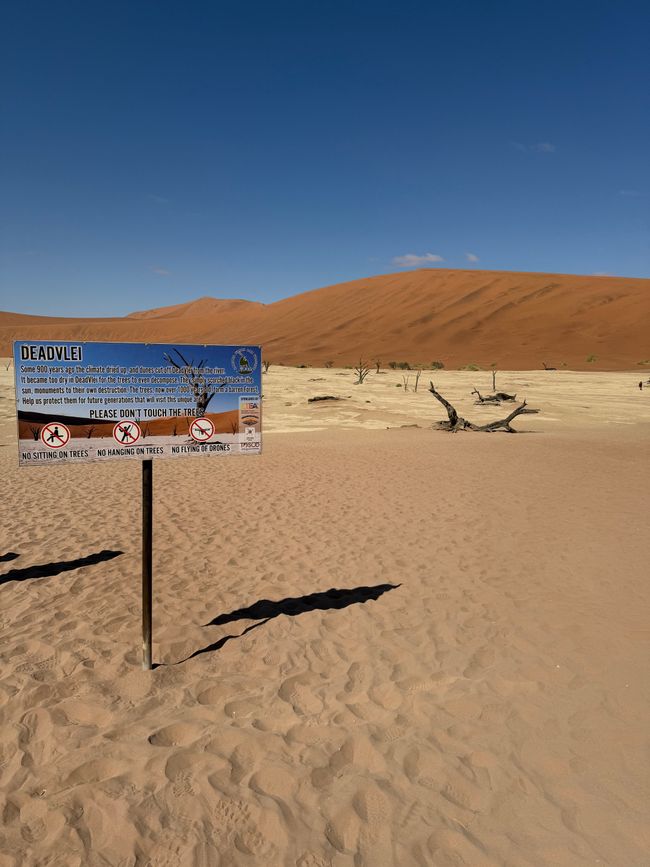 Namibia 2k25 🦓🏜️🐘