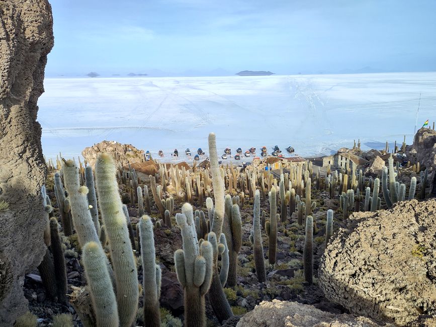 San Pedro und Co.: Wüste, Lagunen und ganz viel Salz 