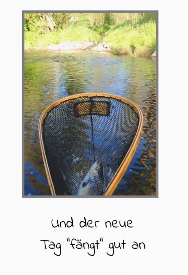 Not only fly fishing at the Kyll/Eifel