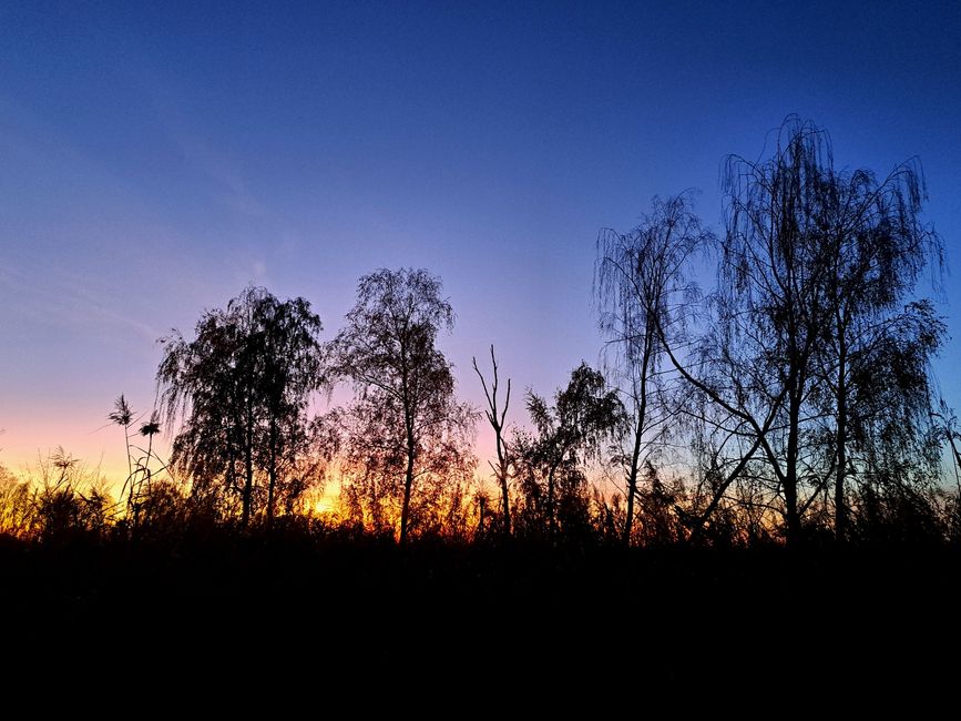 Sonnenuntergang in Linum
