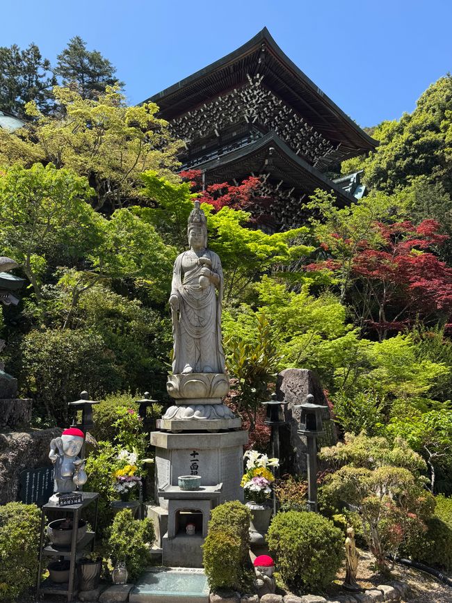 Part 9 Japan 🇯🇵 Osaka