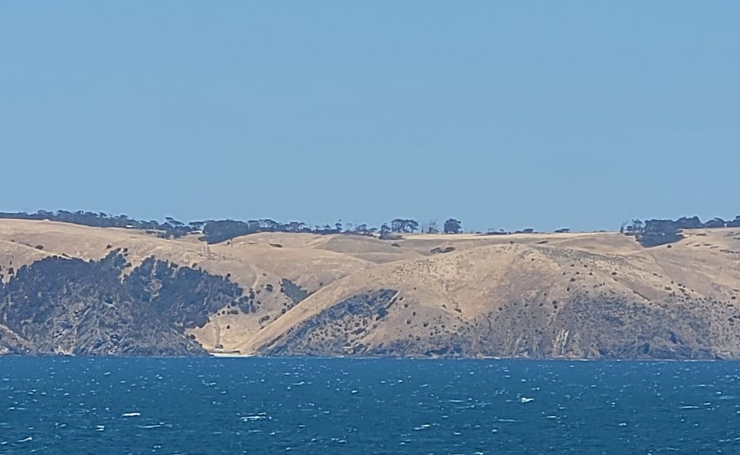 Tag 92: Penneshaw/Kangaroo Island/Australia