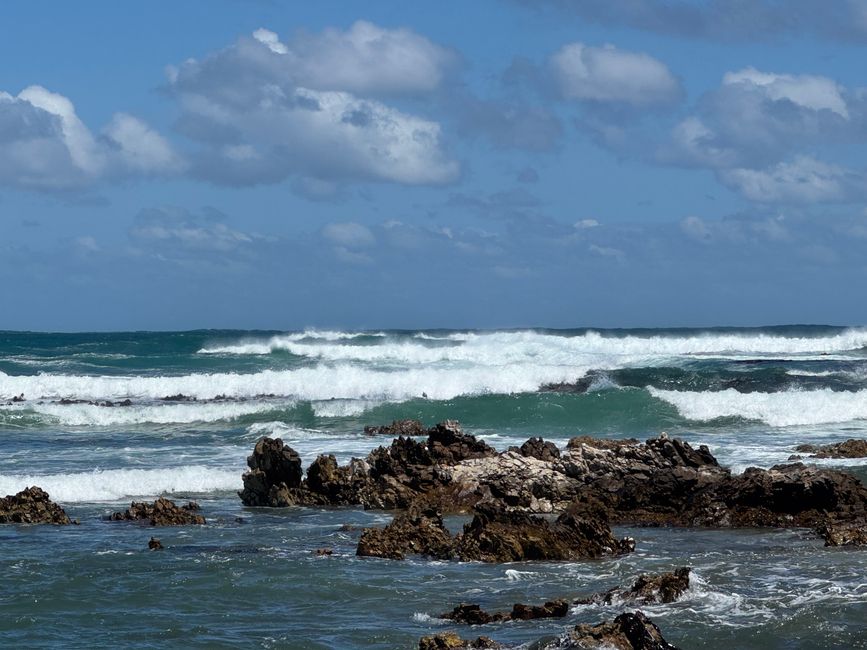 Gansbaai