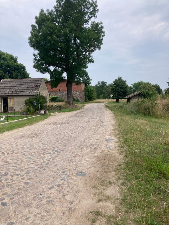 Landregen und Fallada begleiten mich durch die Feldberger Seenlandschaft