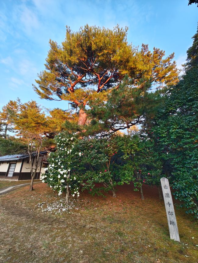 Au revoir Osaka, Bonjour Kyoto