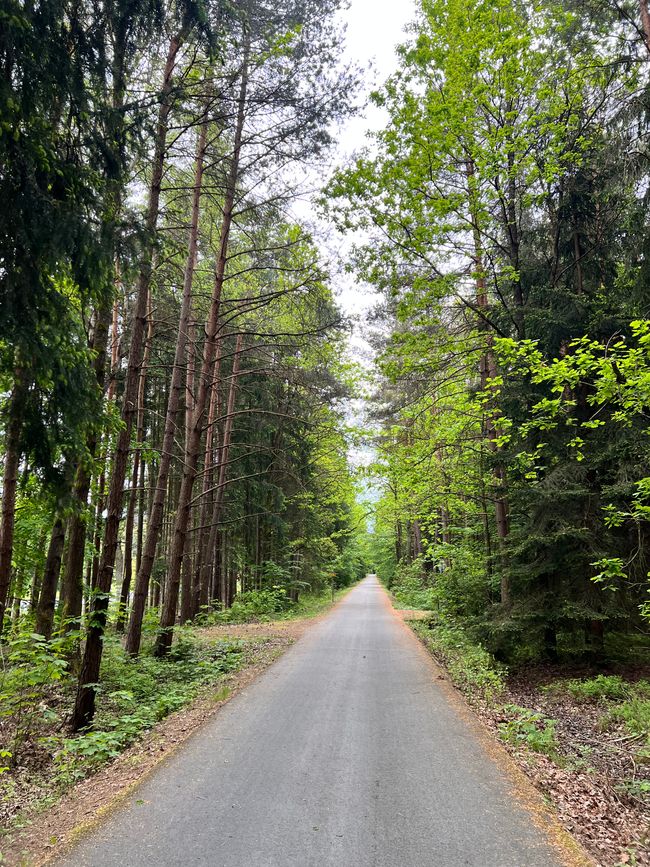 38 to Straubing