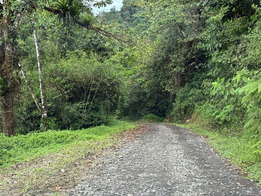 Hinunter zur Finca