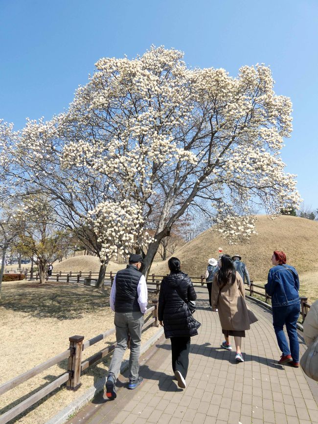 Hügelgräber Daereungwon