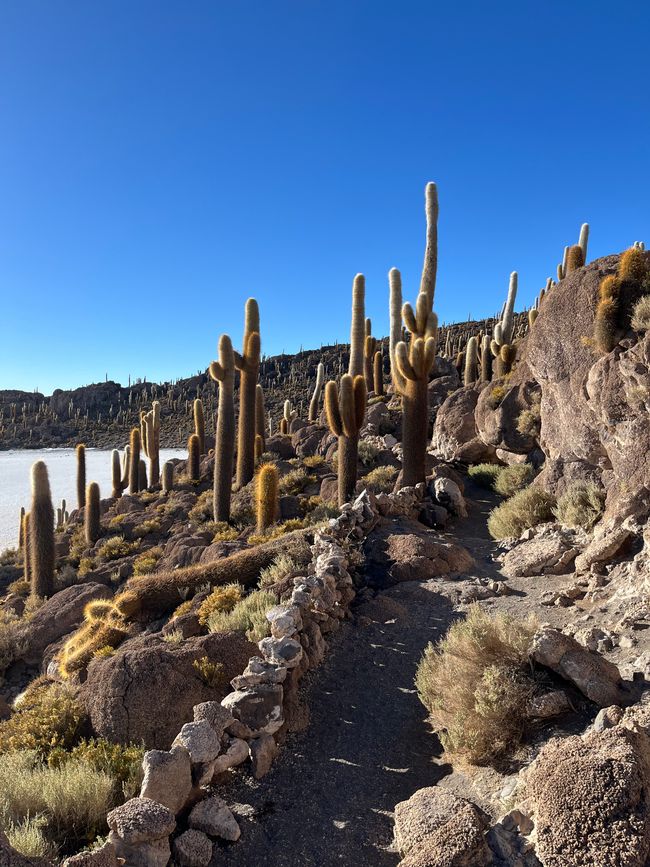 Salar de Uyuni