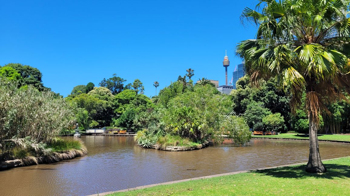 Heute königliches Programm – Royal Botanical Garden in Sydney