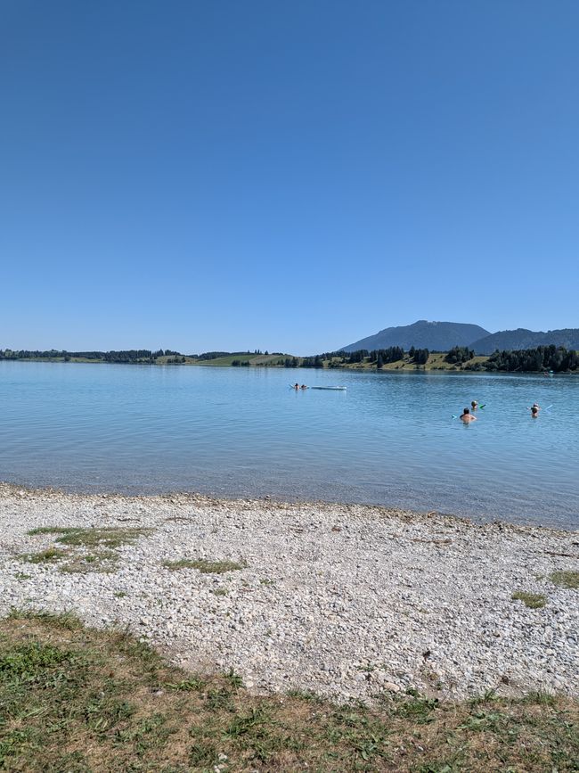 Forggensee 2026 - Die ersten 10 Tage