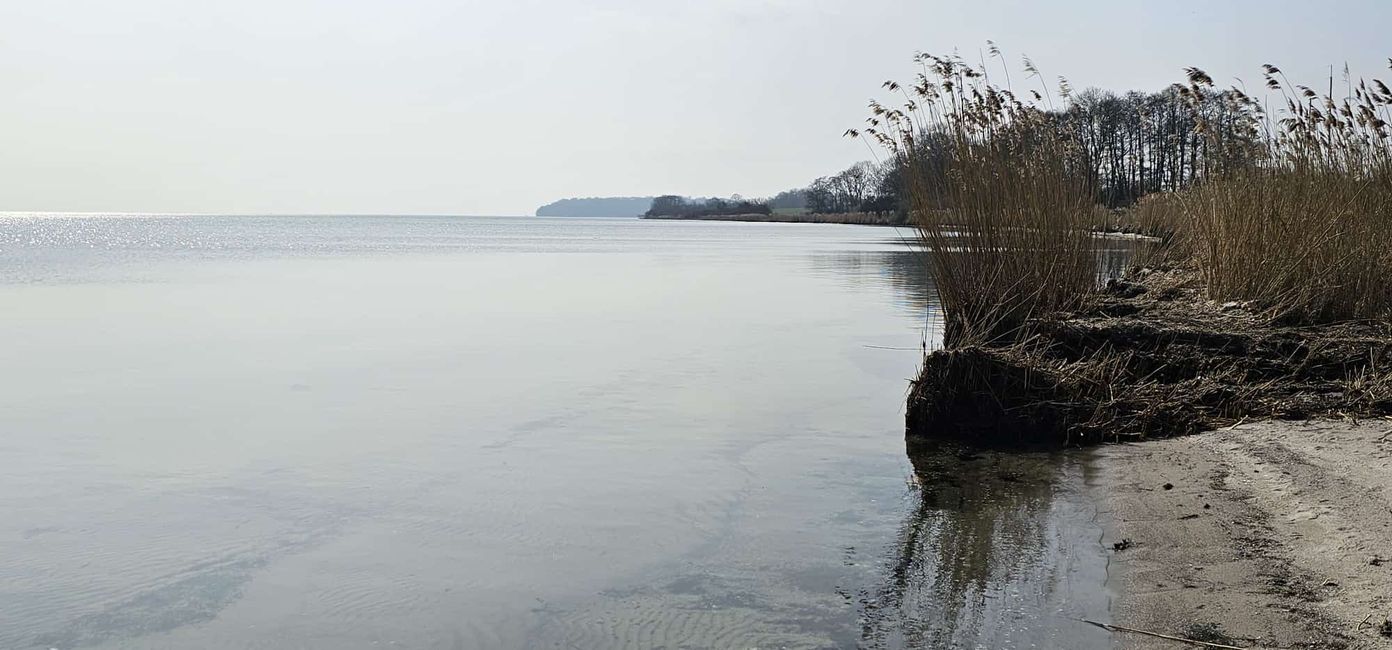 Wieder mal auf Rügen - Beruf und Urlaub in einer harmonischen Symbiose
