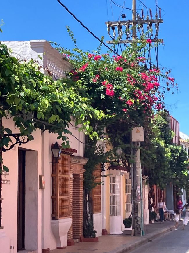 Cartagena - la perla del Caribe
