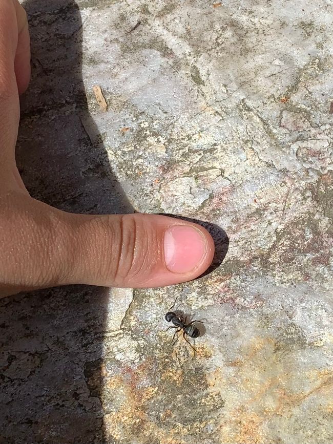 Jetlag und tierische Geschichten