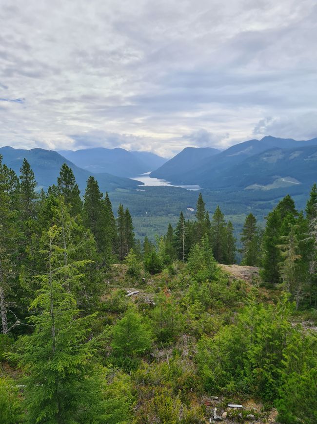 Blick auf den Woss Lake (vom Fire Lookout)