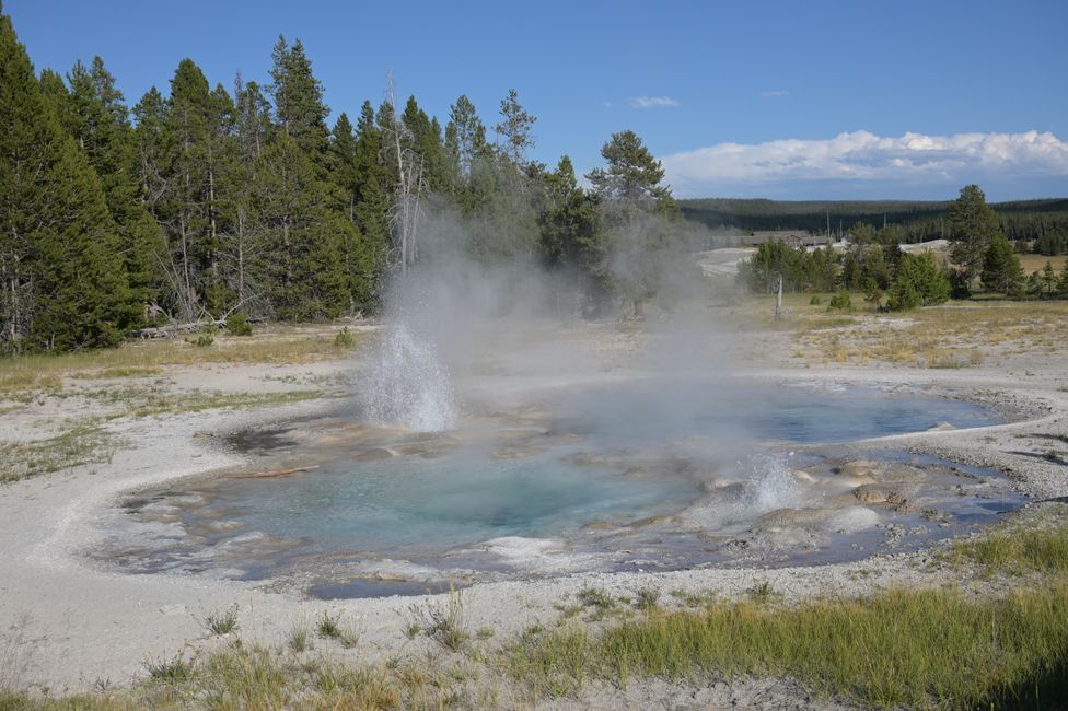 Bassin supérieur des geysers - Geyser Spasmodic