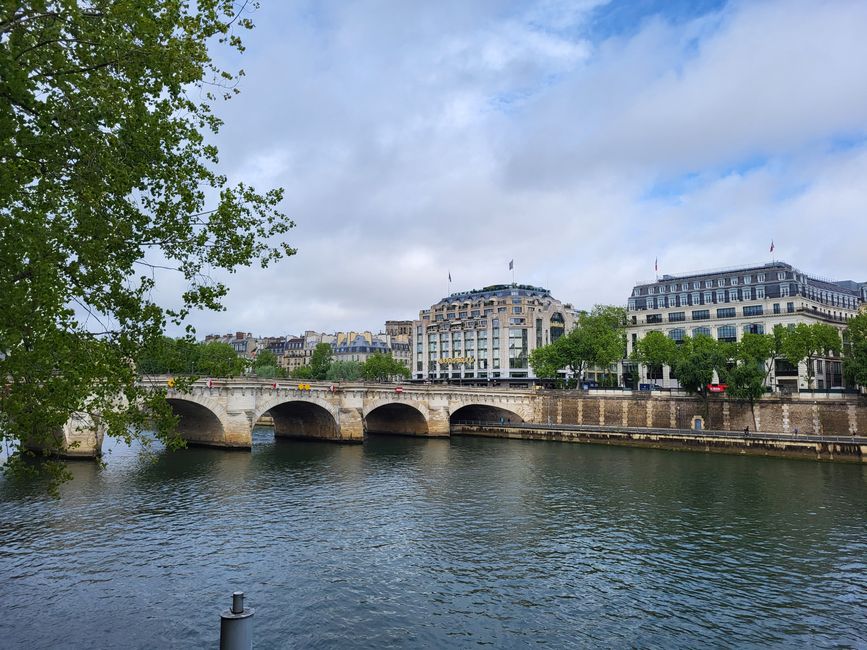 Sena y Pont Neuf
