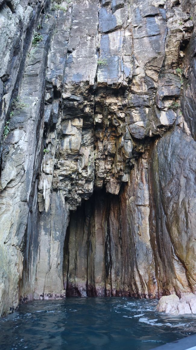 Bootstour entlang der Küste von Whitianga bis zur Cathedral Cove