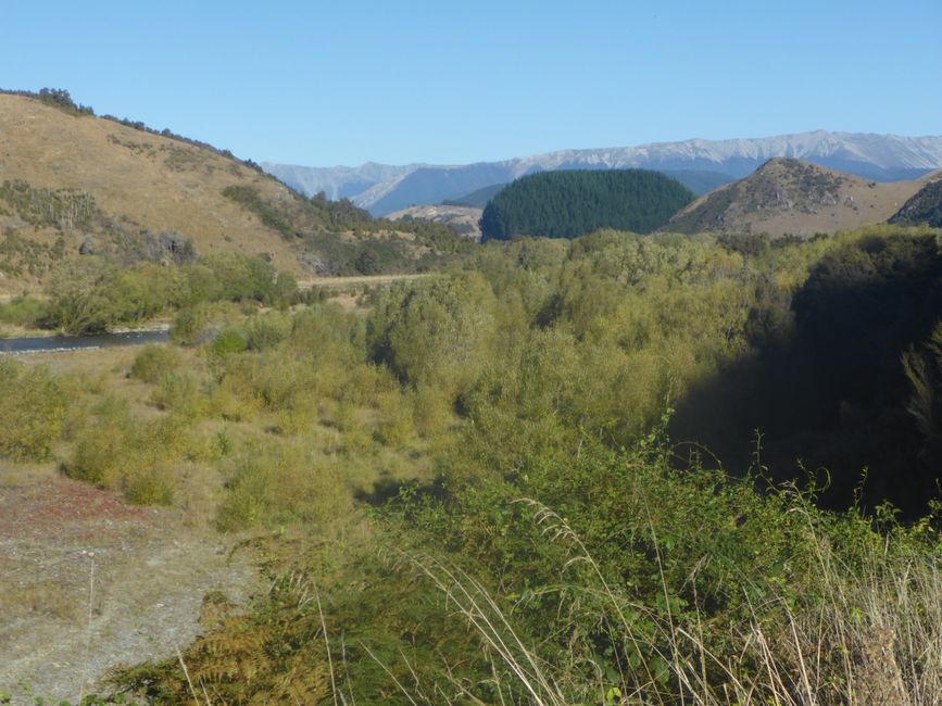 2025-03-16 WWOOF 2, Hokitika chez Joan et direction Picton