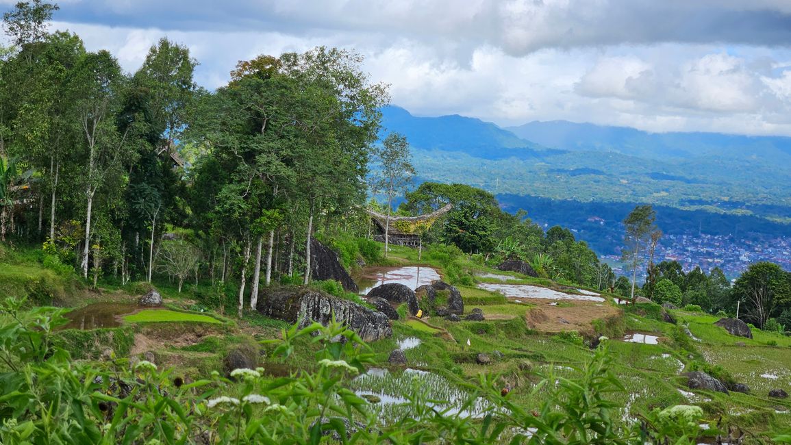 Tana Toraja