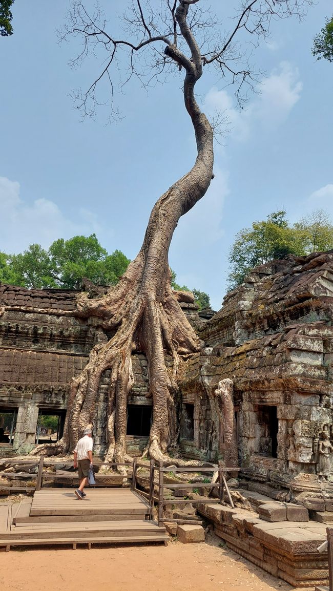 Temple de Ta Prohm