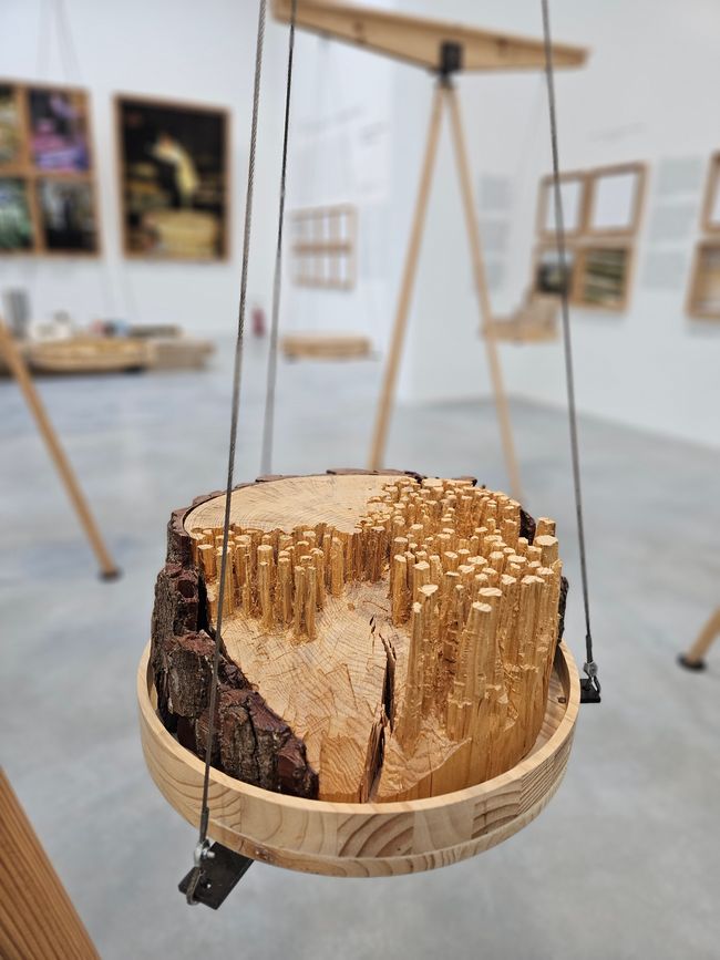 Spanischer Pavillon, Holz als Baustoff