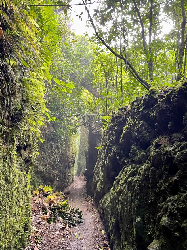 Reserva Natural Volcán Mombacho