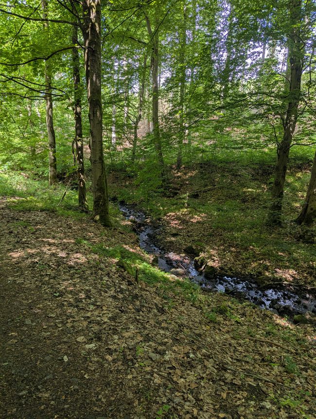 Friedrichsbrunn - una parte della mia infanzia
