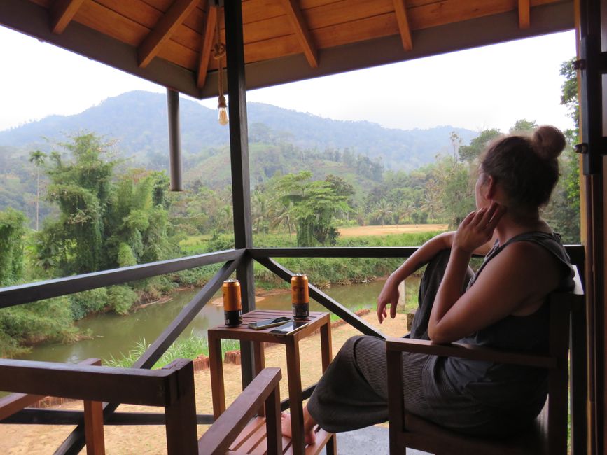 Sinharaja - l'ultima foresta pluviale dello Sri Lanka