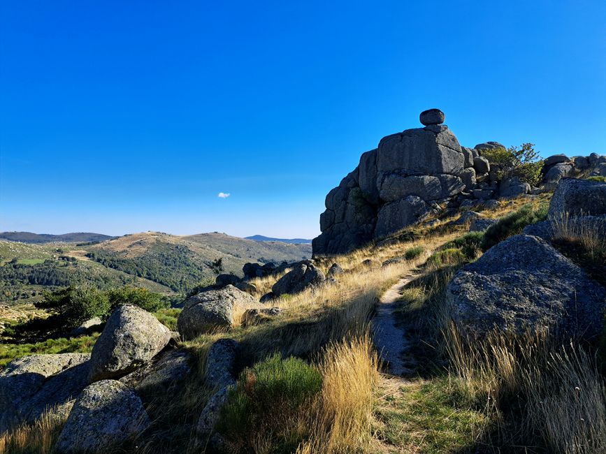 Steine im Lozére