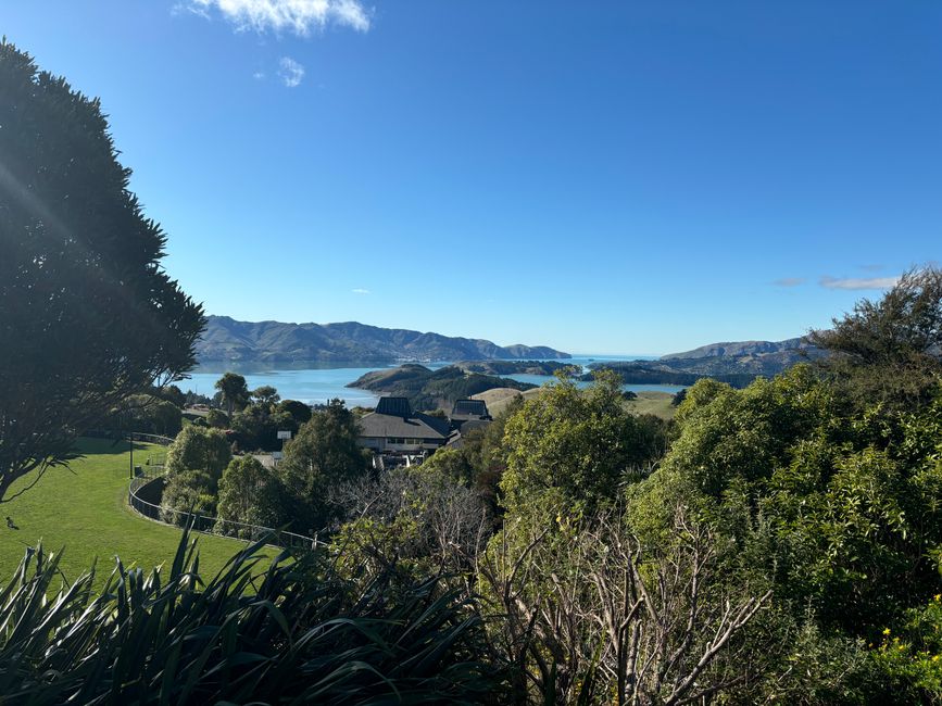 Blick auf das Campgebäude und die Governors Bay