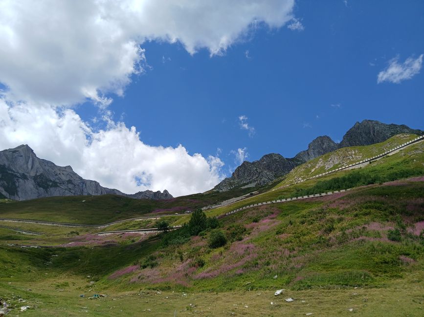 Heimreise Kurzfassungen