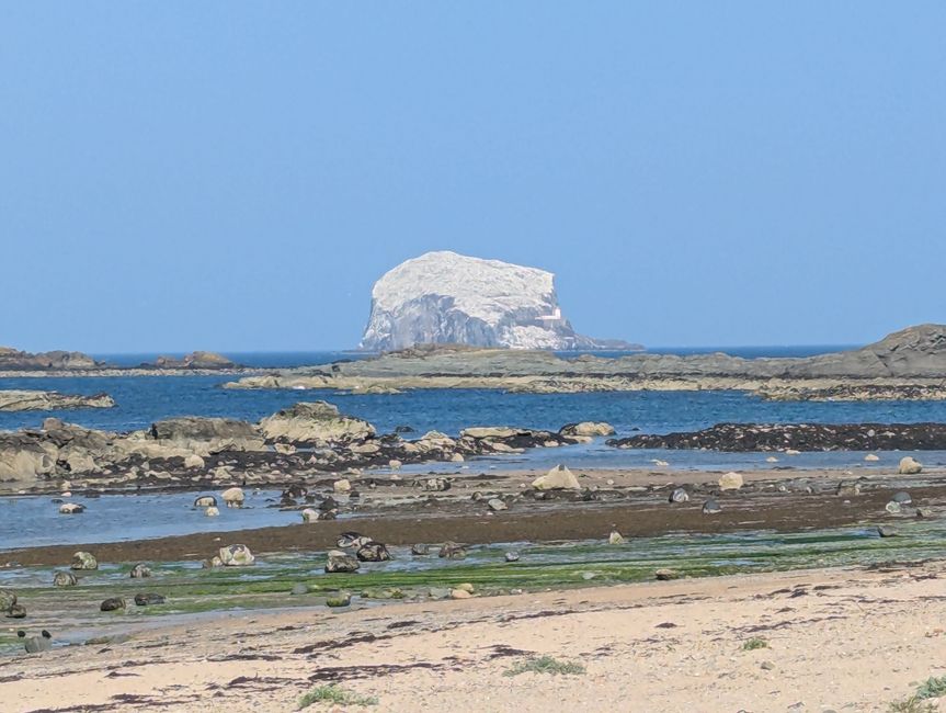Saturado