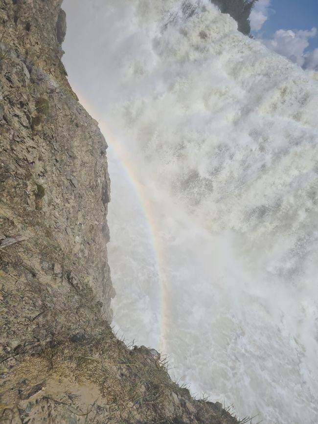 Canmore (Yoho) - Bears and Waterfalls